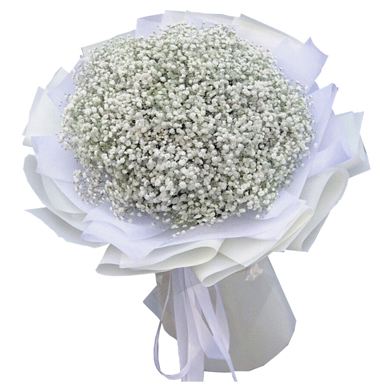 Baby's Breath Hochiminh24hrsflorist